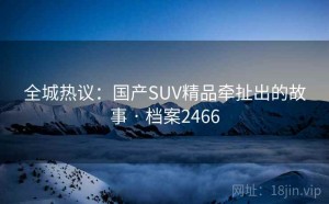 全城热议：国产SUV精品牵扯出的故事 · 档案2466
