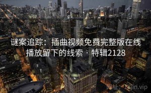 谜案追踪：插曲视频免费完整版在线播放留下的线索 · 特辑2128