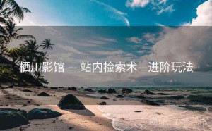 栖川影馆 — 站内检索术—进阶玩法