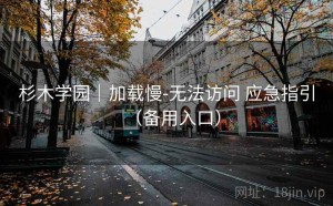 杉木学园｜加载慢-无法访问 应急指引（备用入口）