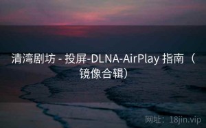 清湾剧坊 - 投屏-DLNA-AirPlay 指南（镜像合辑）