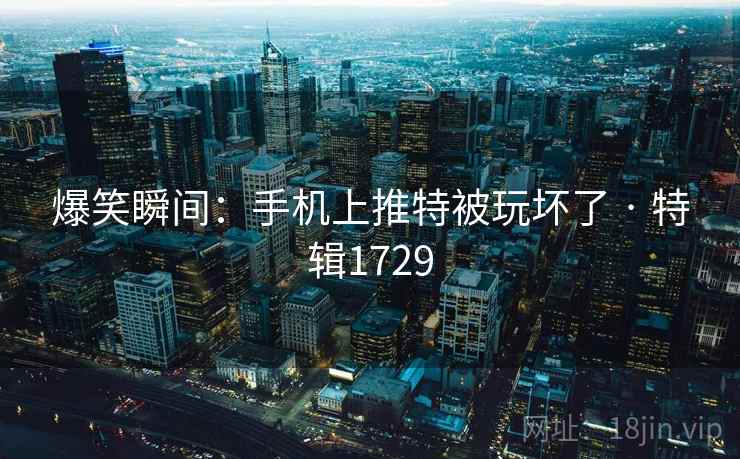 爆笑瞬间：手机上推特被玩坏了 · 特辑1729