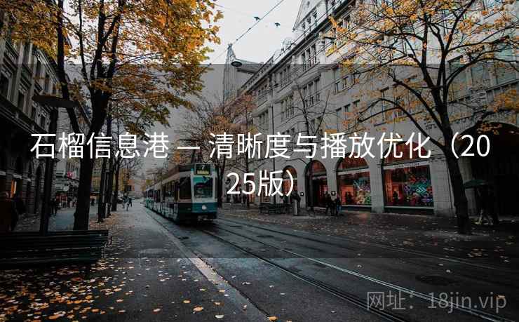 石榴信息港 — 清晰度与播放优化（2025版）