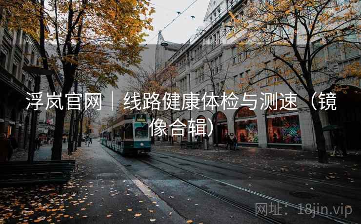 浮岚官网｜线路健康体检与测速（镜像合辑）