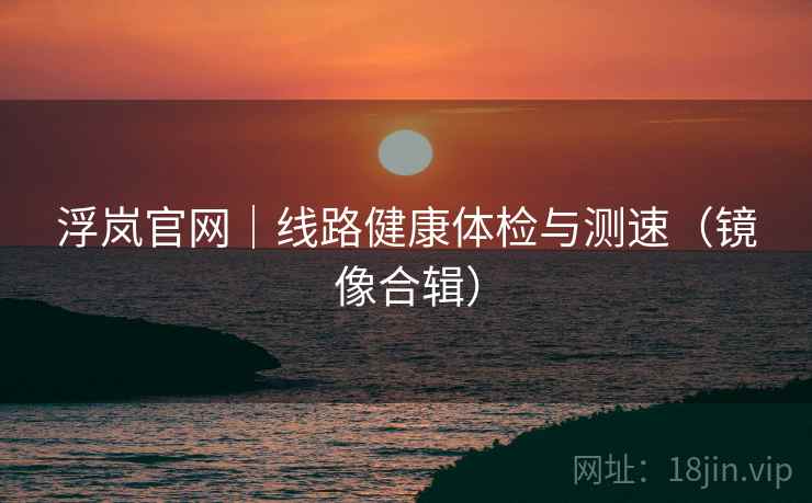 浮岚官网｜线路健康体检与测速（镜像合辑）