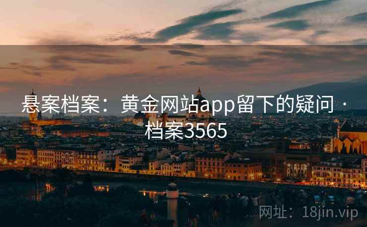 悬案档案：黄金网站app留下的疑问 · 档案3565